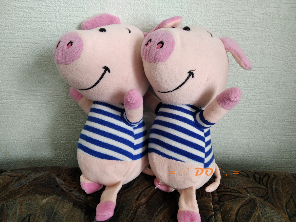 Иногда даже в двух экземплярах. Фото автора.