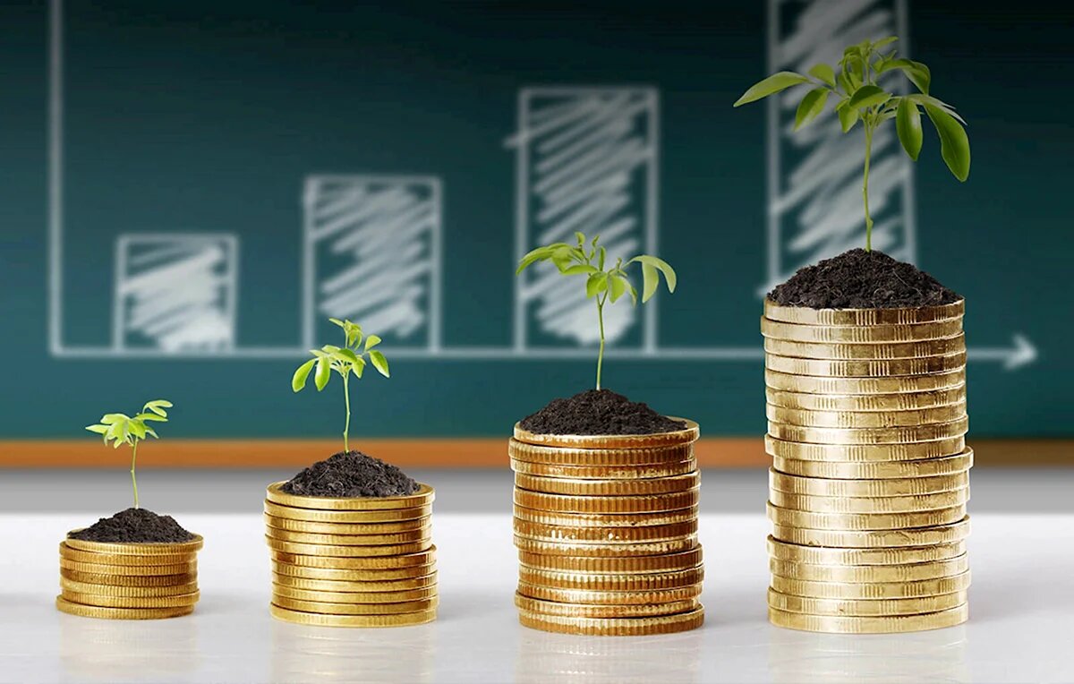 Куда вложить деньги.