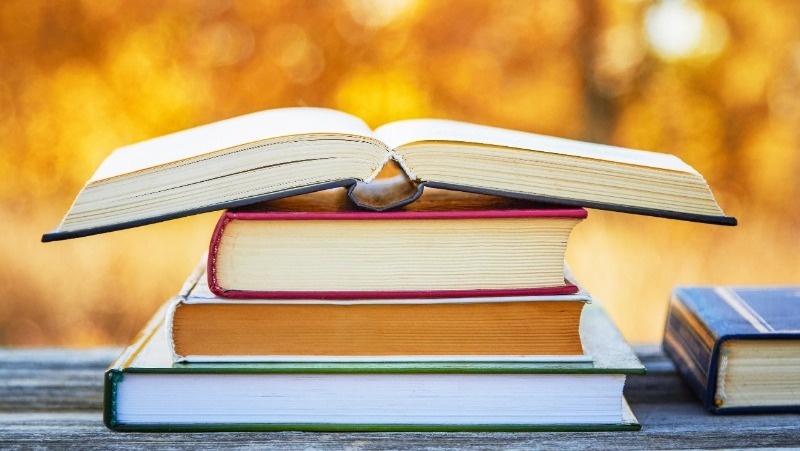 Фото: @serg60 / freepik.com