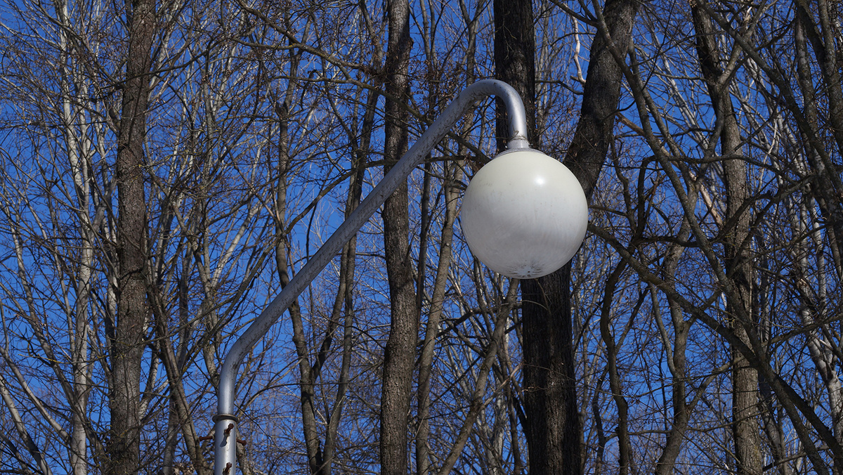    Фото: Сергей Егоров