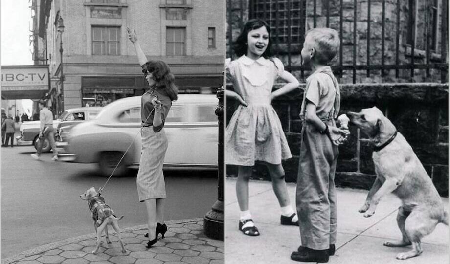 15 классных винтажных фото о том, что люди во все времена любили собак