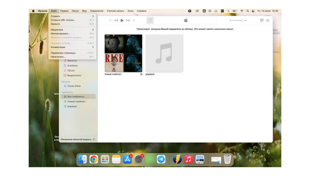1. Откройте Apple Music и выберите вкладку «Файл» — «Импортировать». →