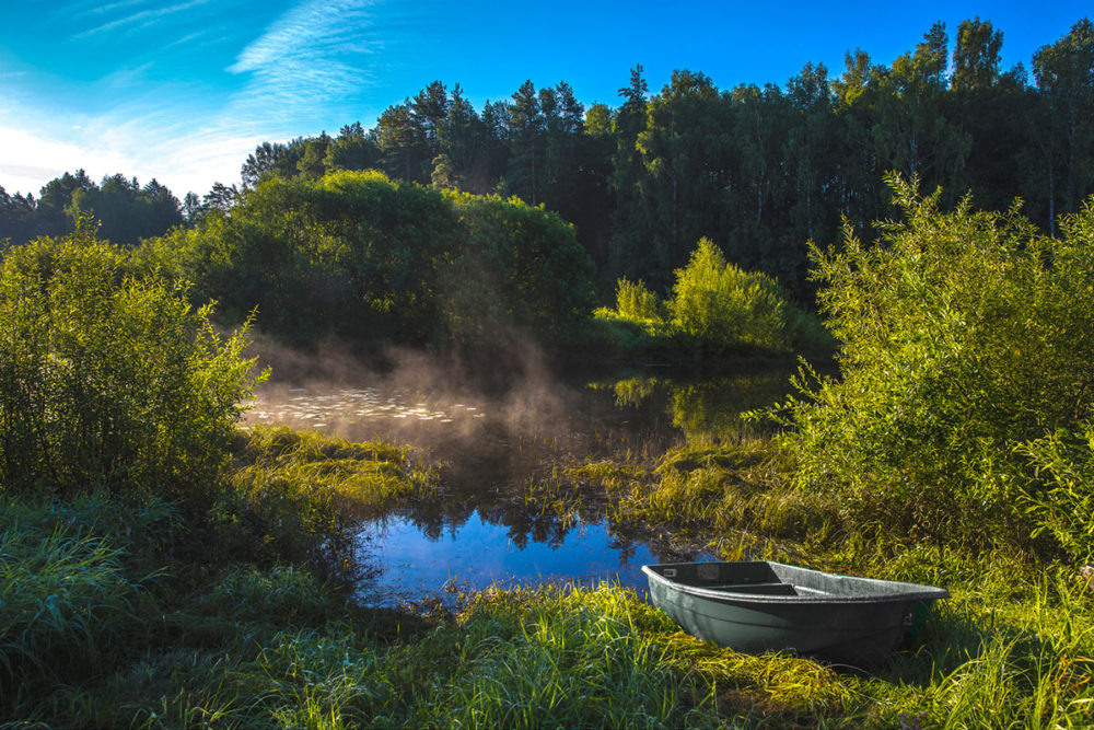 Июль на реке