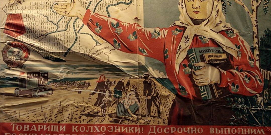 «Сталин сажал даже деревья»: Великое преобразование природы или как в СССР хотели климат изменить
