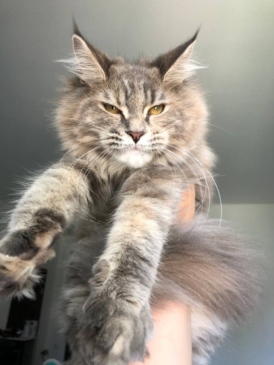 фото из личного архива.