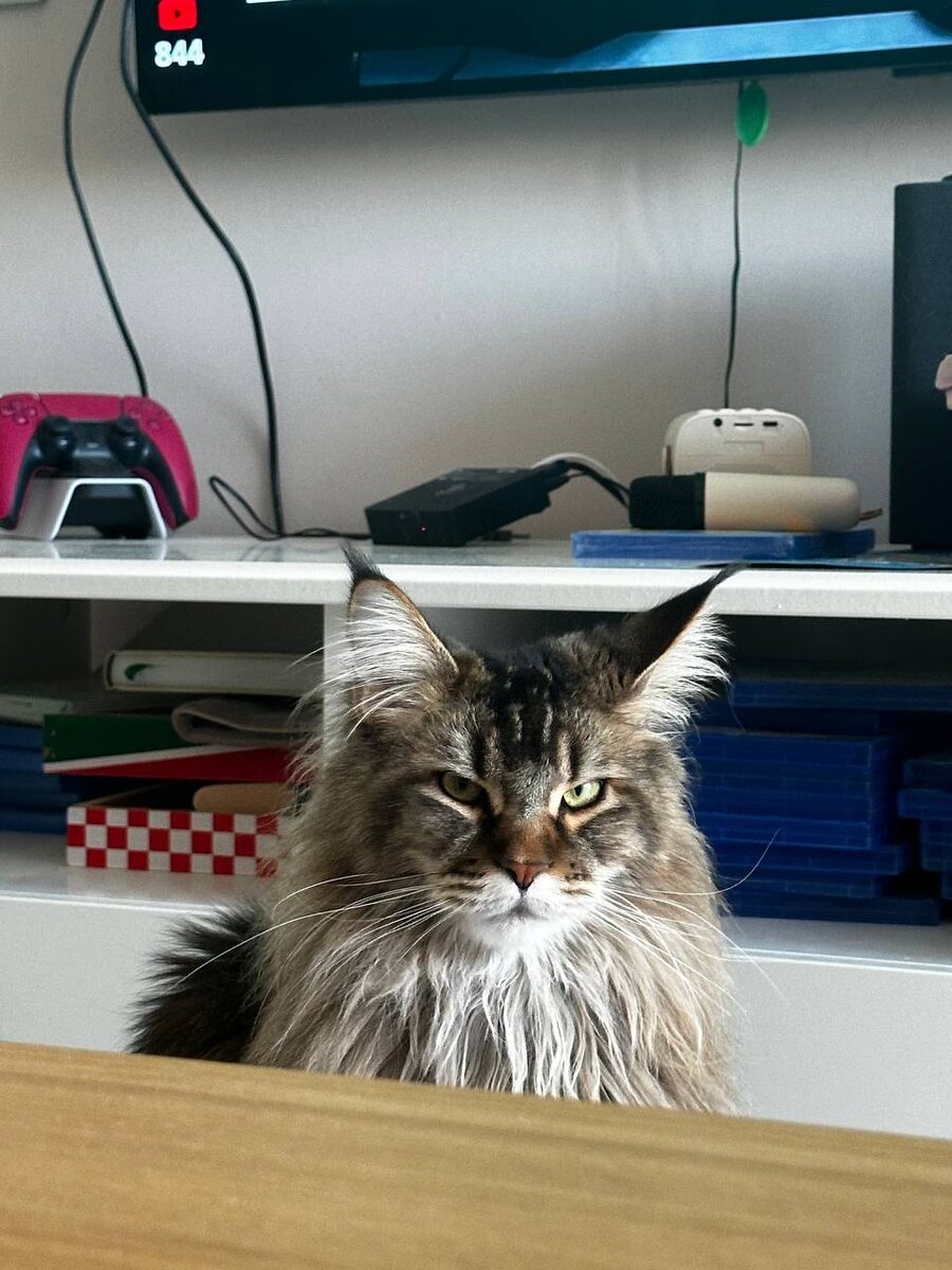 Фото из личного архива.