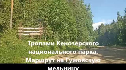 Тропами Кенозерского национального парка. Маршрут на Гужовскую водяную мельницу.