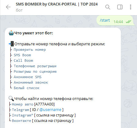 Пример работы смс бомбера в тг