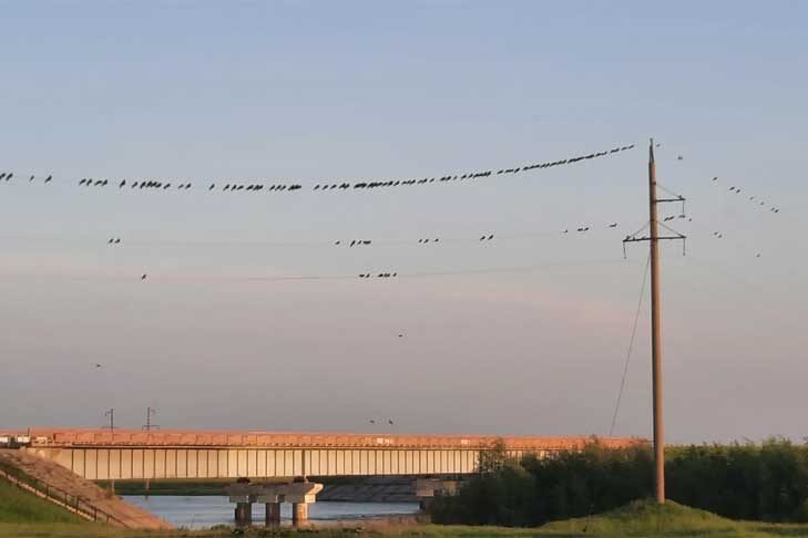    Фото «Знамя труда».