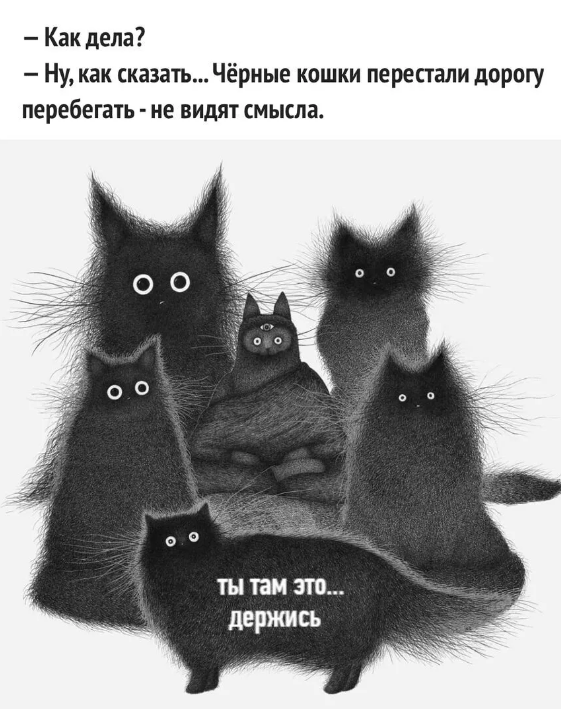 -11
