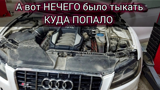 Audi на панели приборов горит лампочка неисправности системы AFS (система головного освещения) ошибка 02988