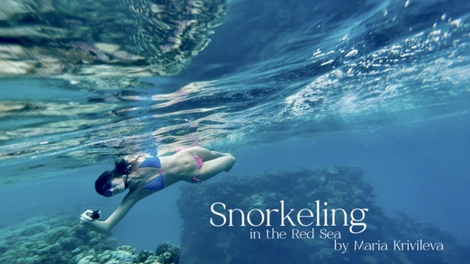 Снорклинг в Красном море | Snorkeling in the Red Sea