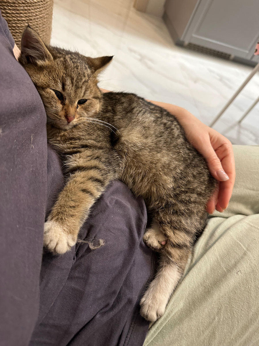 День 1. Испуганная и чумазая лежит на мне