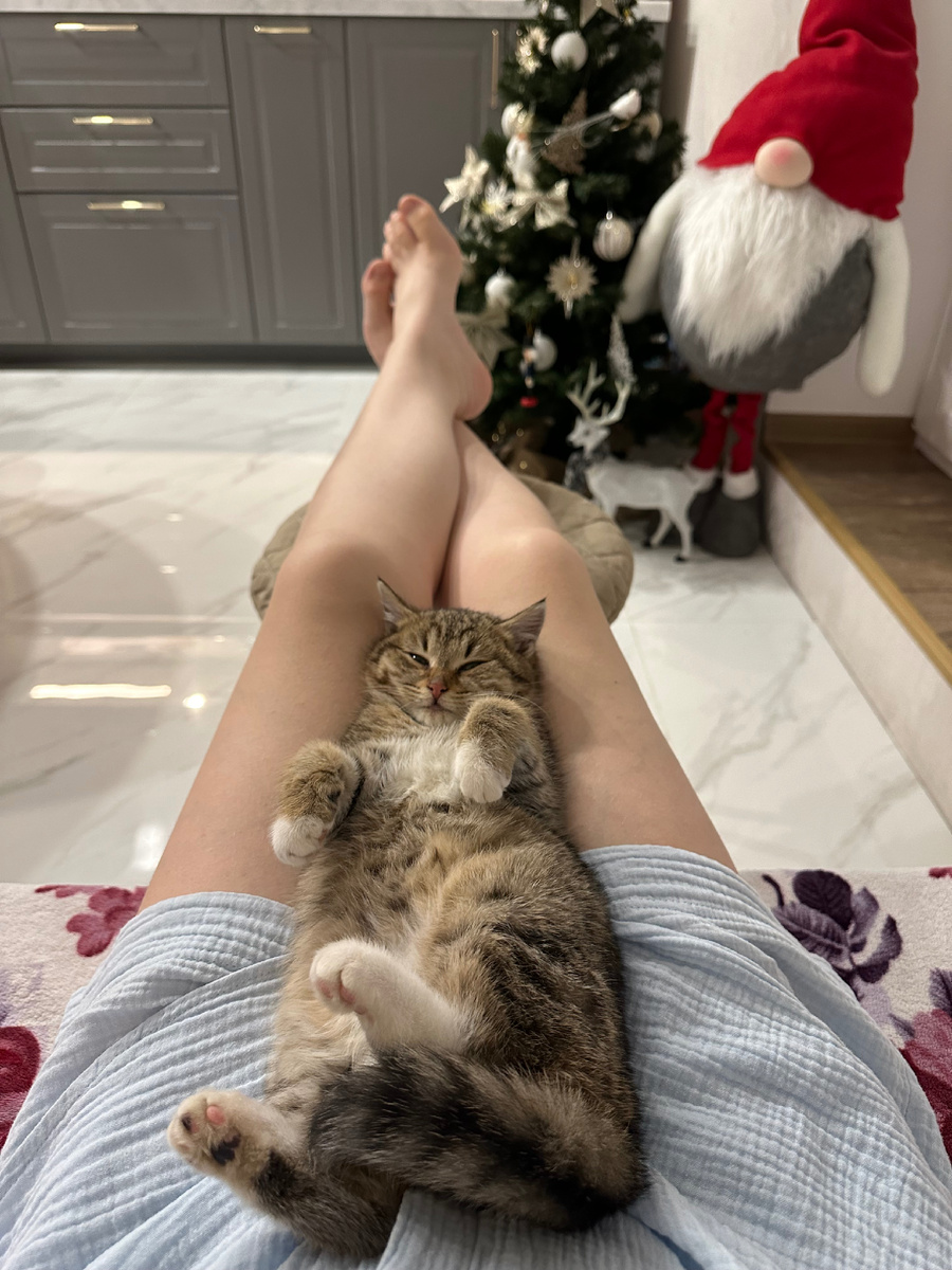 День 4. Лаванада уже сама забирается на руки