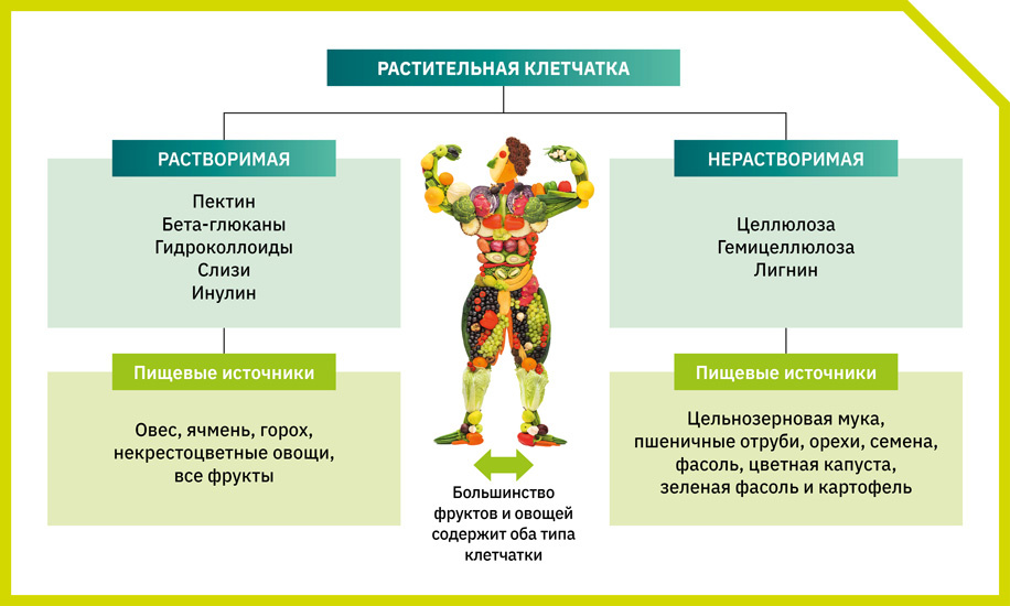 Рисунок 1. Виды растительной клетчатки / Фото: Shutterstoсk/FOTODOM