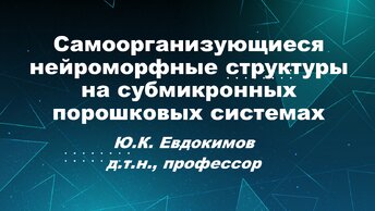 Самоорганизующиеся нейроморфные структуры на субмикронных порошковых системах | Юрий Евдокимов