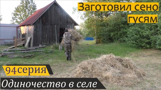 Субботний день в деревне. Одиночество в селе, серия 94