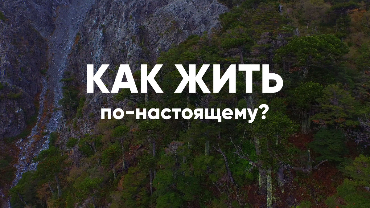 В Библии написано: «Пусть так копят себе сокровище — крепкий фундамент на будущее, чтобы обрести жизнь поистине подлинную». 
Что объединяет Илона Маска, Джеффа Безоса, Билла Гейтса и Уоррена Баффета?