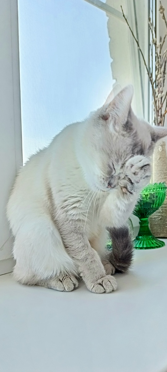 Фрося выросла.