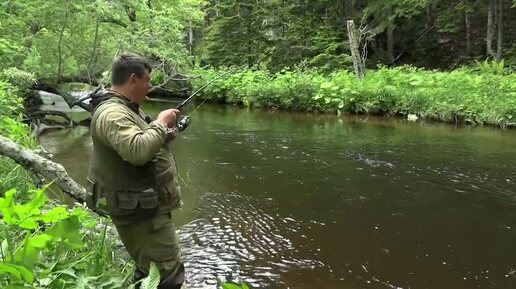 Сима! Пробрались на ручей и началось.