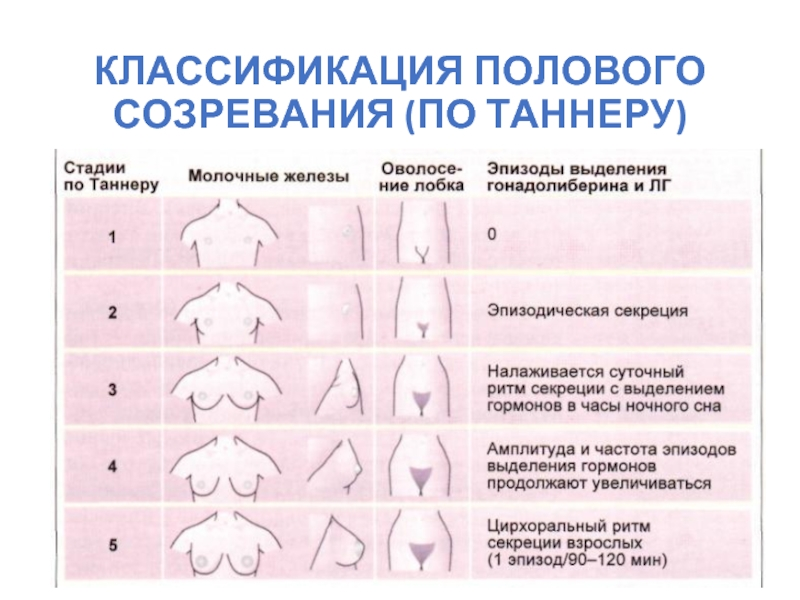 Клиника пластической хирургии в Санкт-Петербурге: услуги, примеры работ | Клиника Пирогова