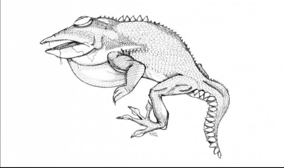 Таким представляют Василиска аргентинцы. Фото из открытых источников. 