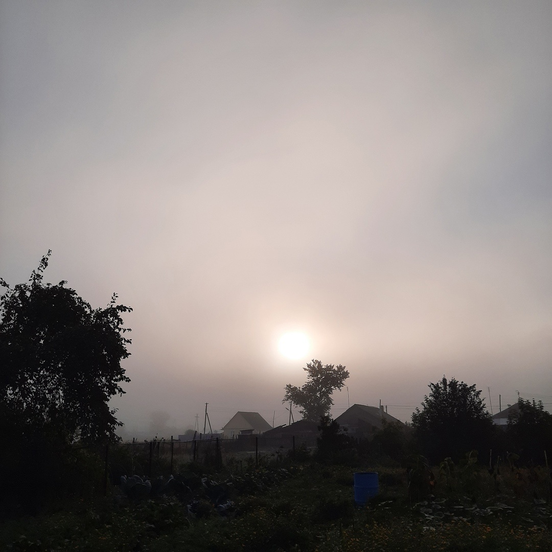 6 сентября 2020 года