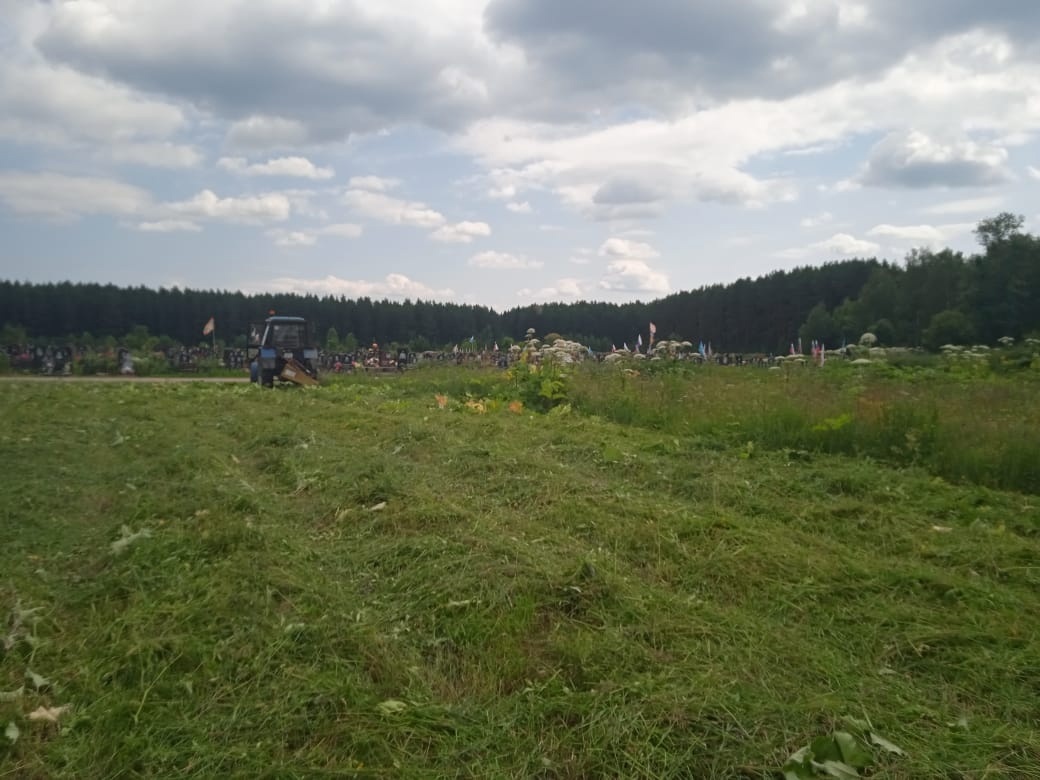    На ивановских кладбищах уничтожают борщевик и клещей