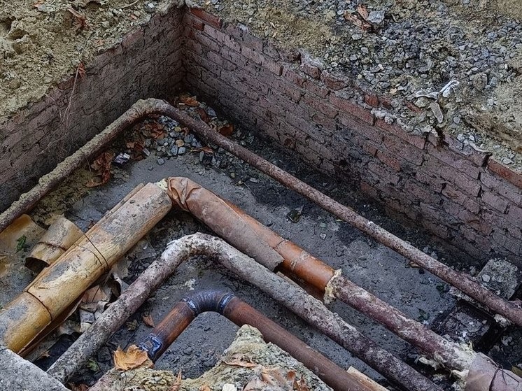   Ева Медовая