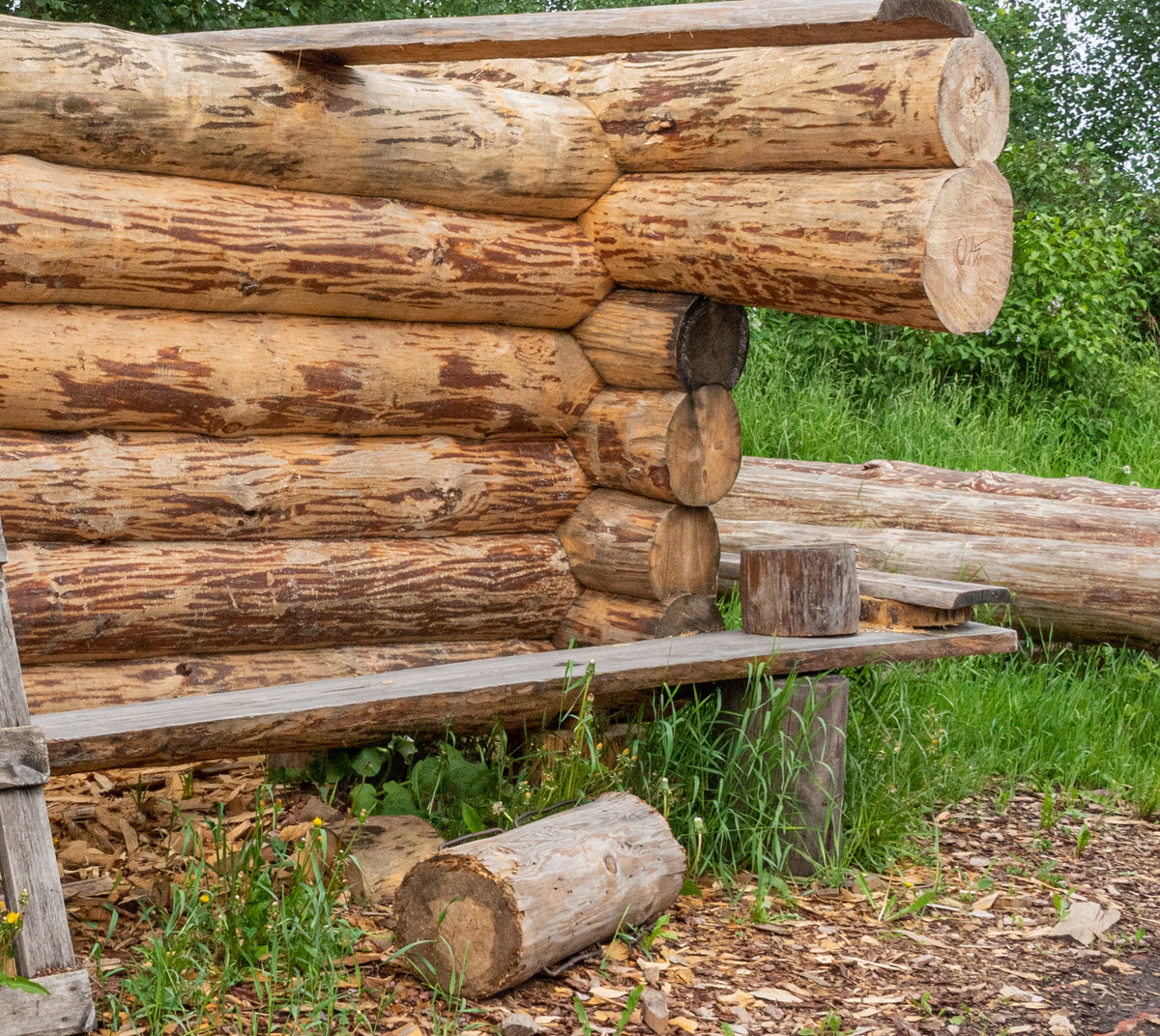 Фото: Михаил Фролов/Архив «КП»