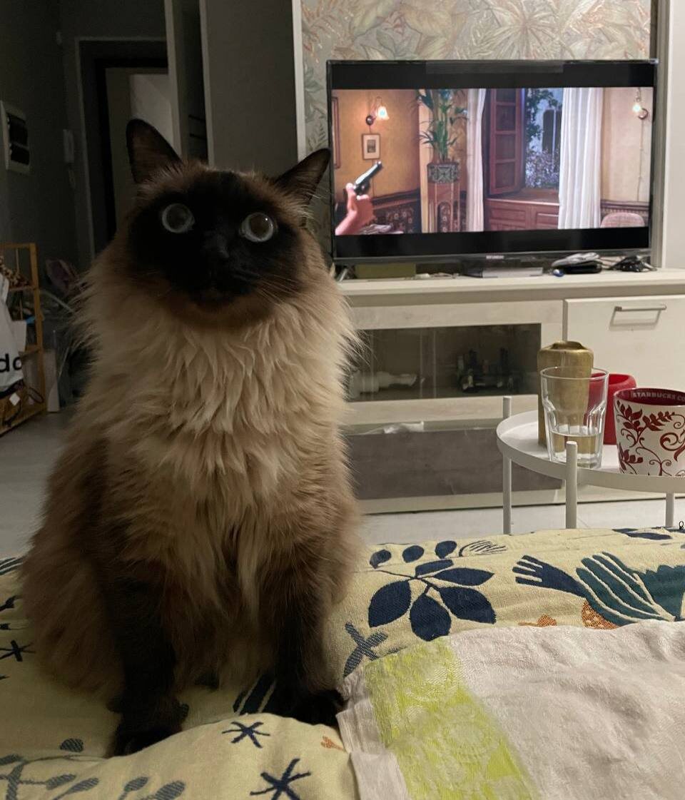 16 января 2024 года - 7,5 месяцев проживания со мной