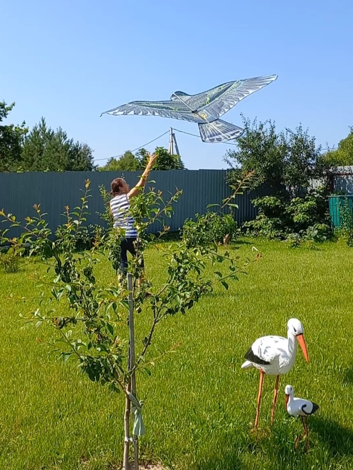Прочитала в комментариях, что он распугивает птиц. Буду проверять, только вот как без ветра.