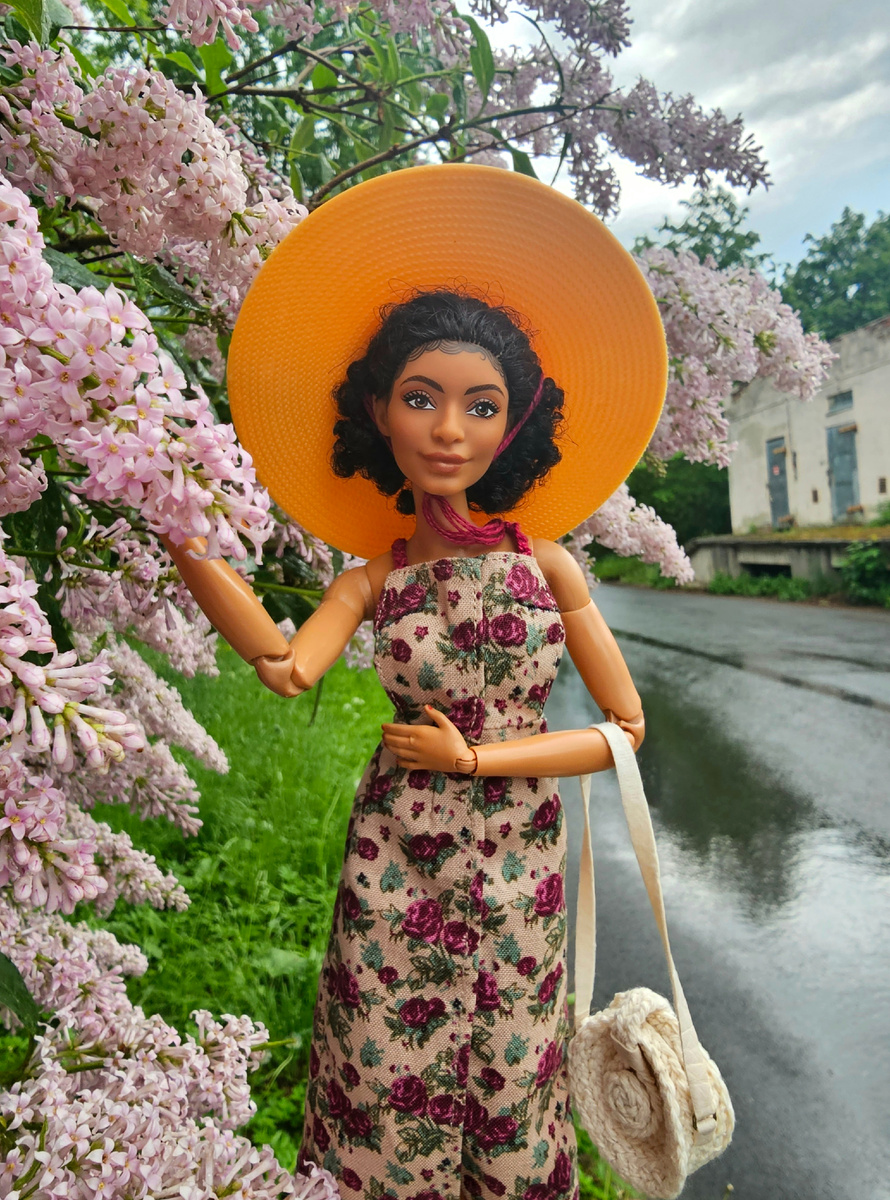 Первые фото сразу после дождя