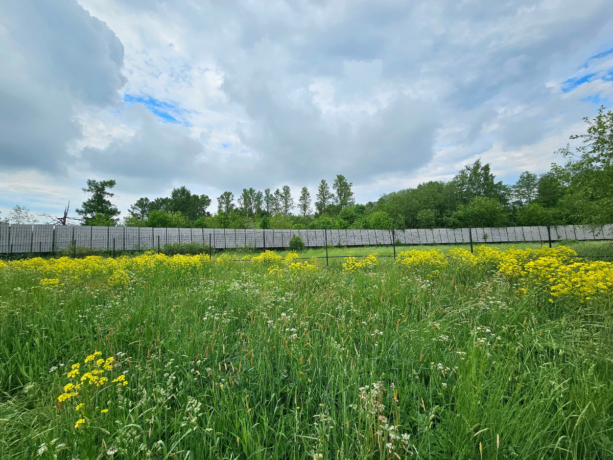 зеркало радиотелескопа