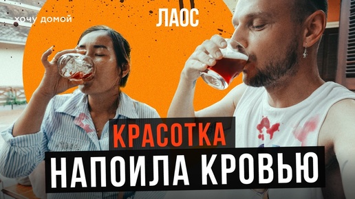 Гастротур по Лаосу: еда, от которой вам станет плохо / Таким не кормят даже в Китае