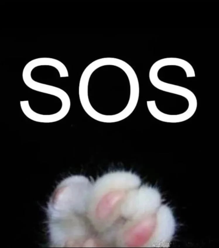 ДРУЗЬЯ!!!! Понедельник...Начало недели не хочется украшать постами со знаками SOS, но ситуация с финансами более чем тяжёлая. Мы не справляемся - это факт!!!!