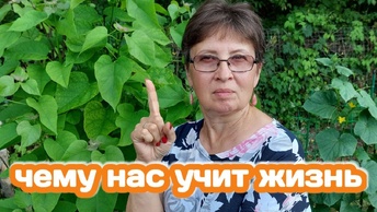 Уроки нашей жизни и наши учителя. Разговоры в зной под вязом, муж уехал кататься, а я потеряла купальник