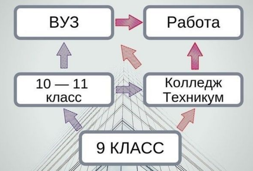 Отличие колледжа от техникума и училища | Колледж АНПОО «НСПК» | Дзен