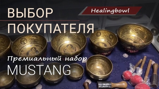 Уникальный набор поющих чаш Healingbowl® Mustang. Купить поющие чаши в Москве или с доставкой по всему миру