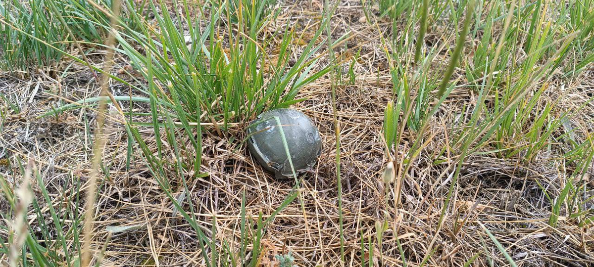 Вот так выглядят суббоеприпасы. Фото: telegram-канал Михаила Развожаева