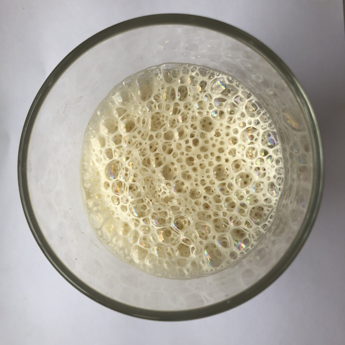 Пшеничная закваска 100% влажности