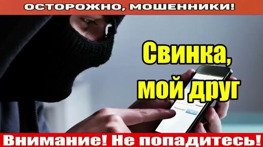 Мошенники звонят по телефону / Решил оставить свои контакты.