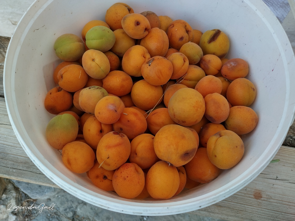 Полное ведро набрала