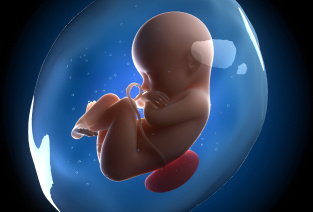 ФОТО  EVACLINIC IVF