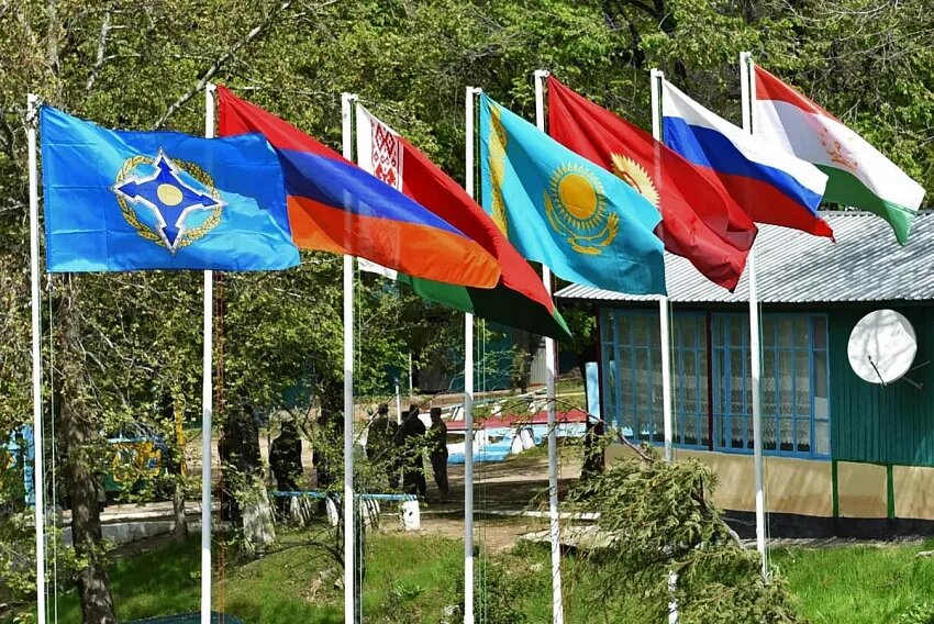 Фото: © Sputnik / Амир Исаев