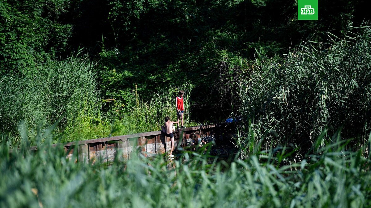    Фото: РИА Новости © 2024, Павел Лисицын