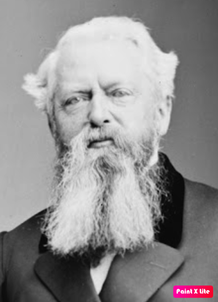 Таунсенд, генеральный консул США в Японии, Япония и японский по-взрослому