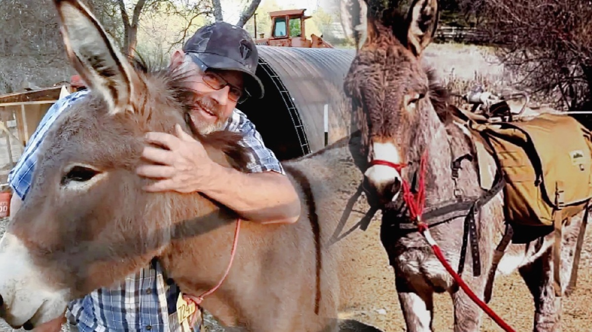 Герой повествования до своего бегства в лес.