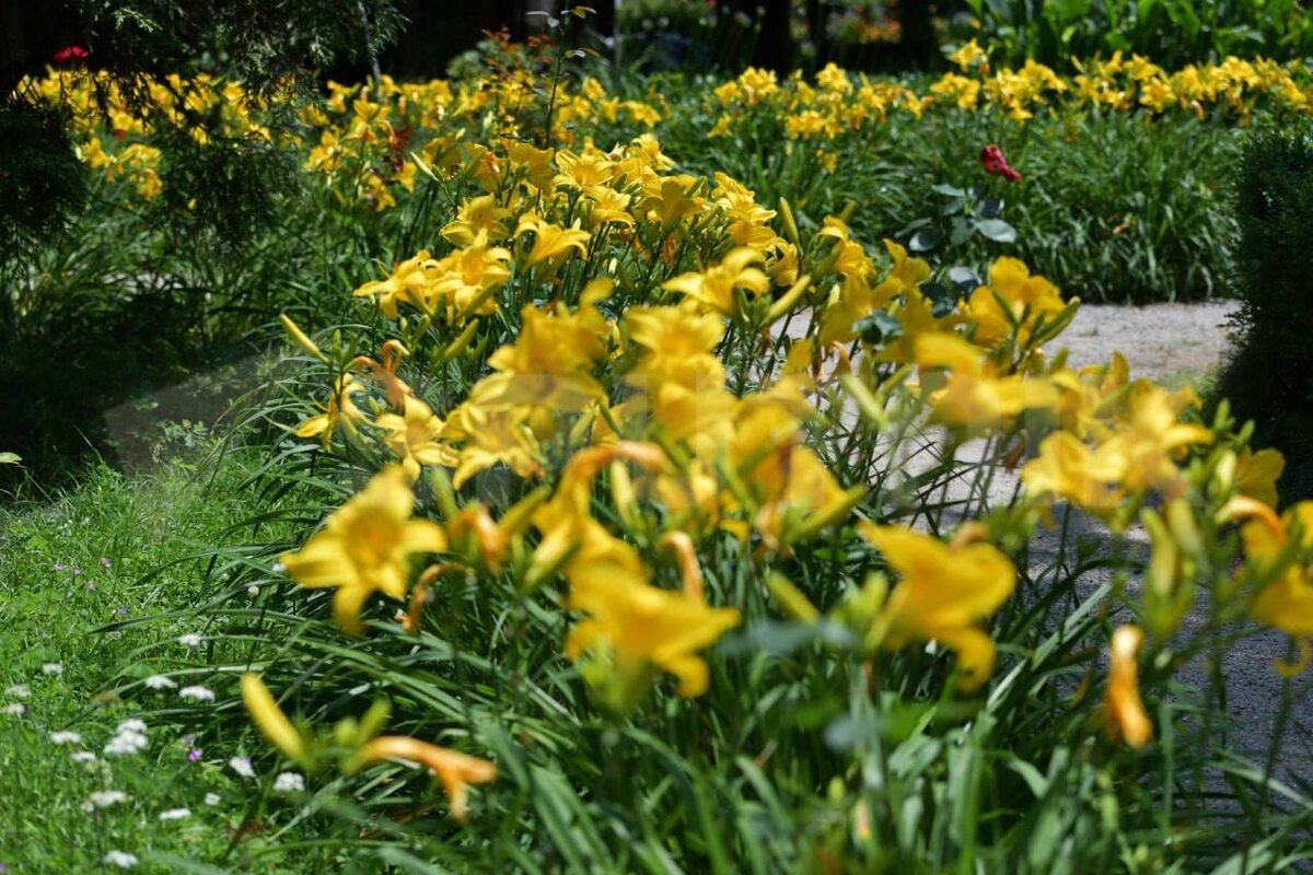 © Sputnik / Томас Тхайцук