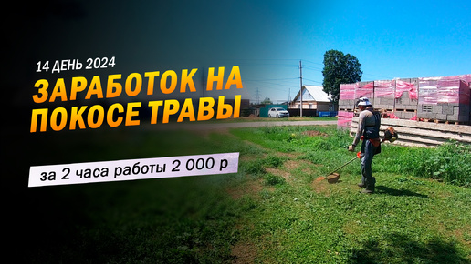 14 | За 2 часа работы 2000 рублей. Заработок в деревне на покосе травы триммером.